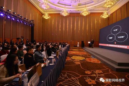 娱乐公司职业,职业角色与行业运作全解析